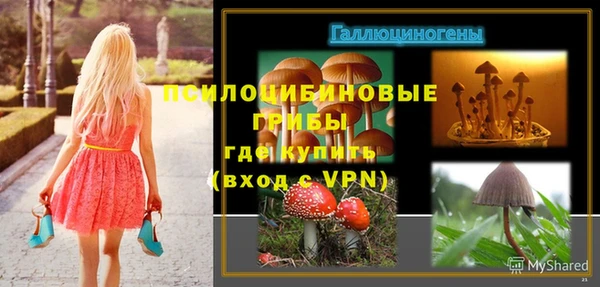 apvp Алексин