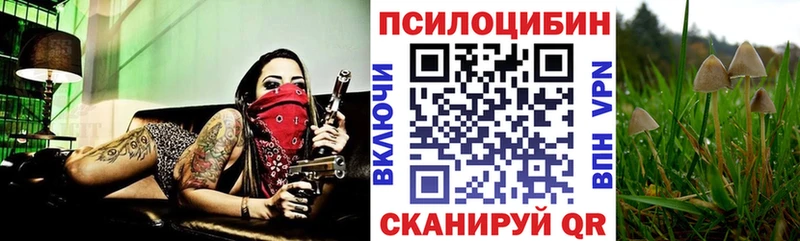 Галлюциногенные грибы MAGIC MUSHROOMS Макушино